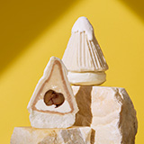 モンブランTHE珀山